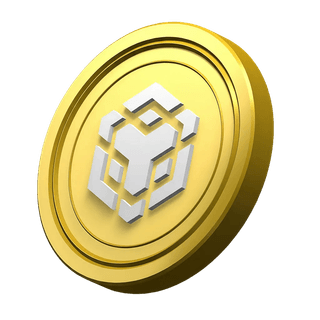 Moneda BNB ornamental en la sección informativa de la plataforma Peculcauce